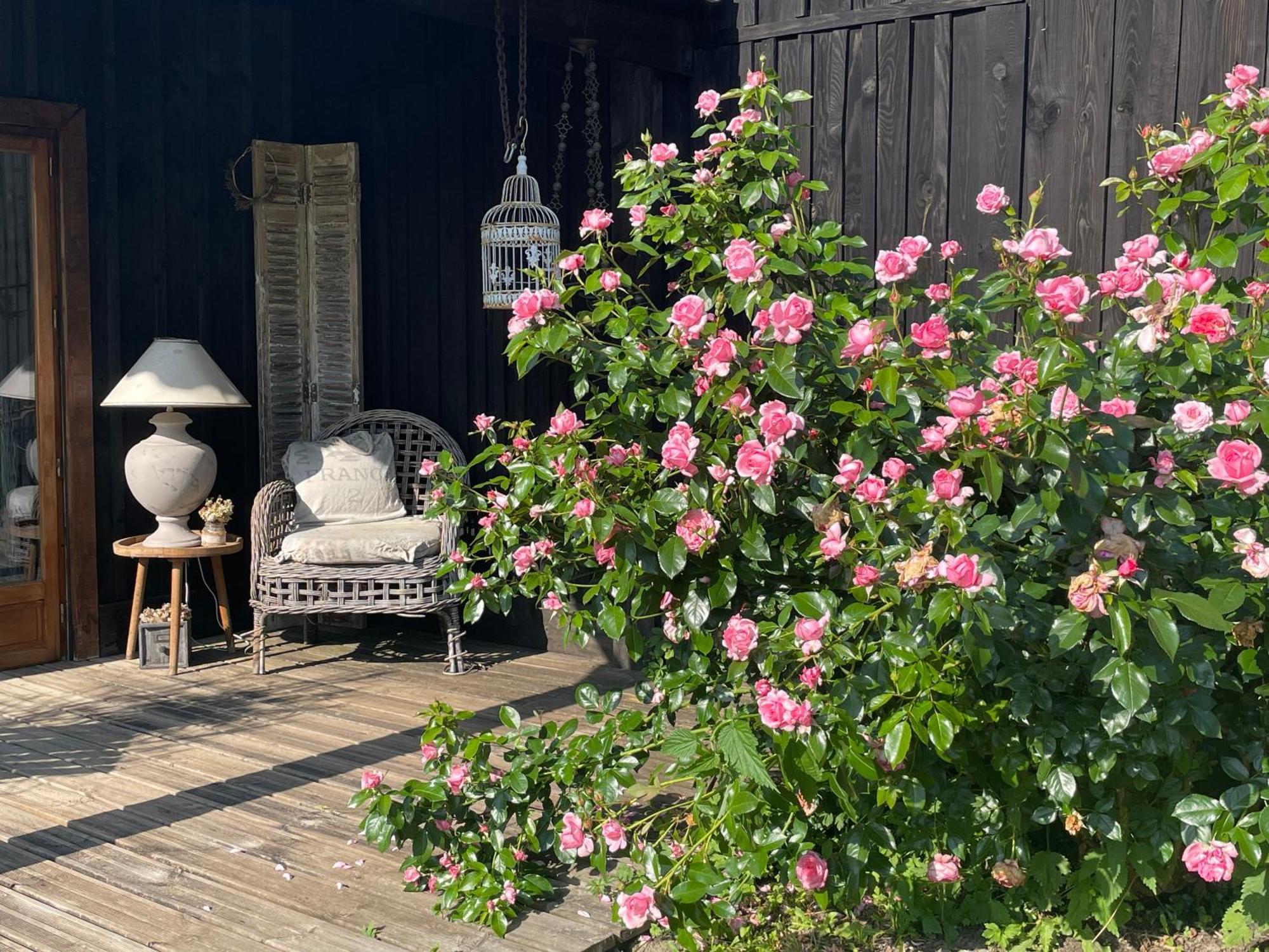 Moulin De Laboirie Hotel บาซาส ภายนอก รูปภาพ